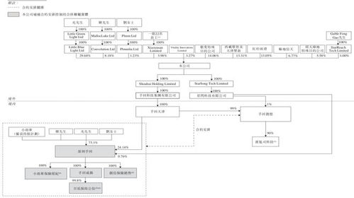 手回科技IPO 6年60倍估值神话背后的隐忧与挑战